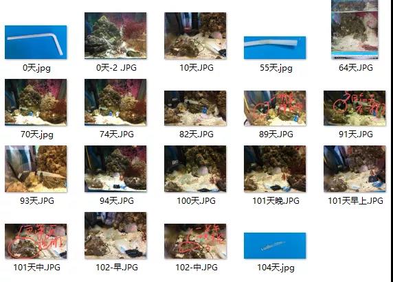 看塑料能不能降解，實(shí)踐觀察一下其實(shí)很簡(jiǎn)單！