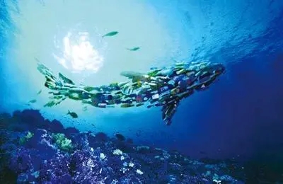 和塑美科技 和塑美科技