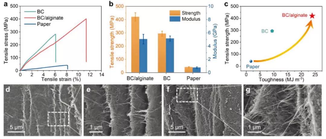 和塑美科技 和塑美科技
