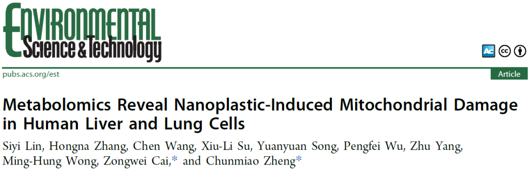 和塑美科技 和塑美科技