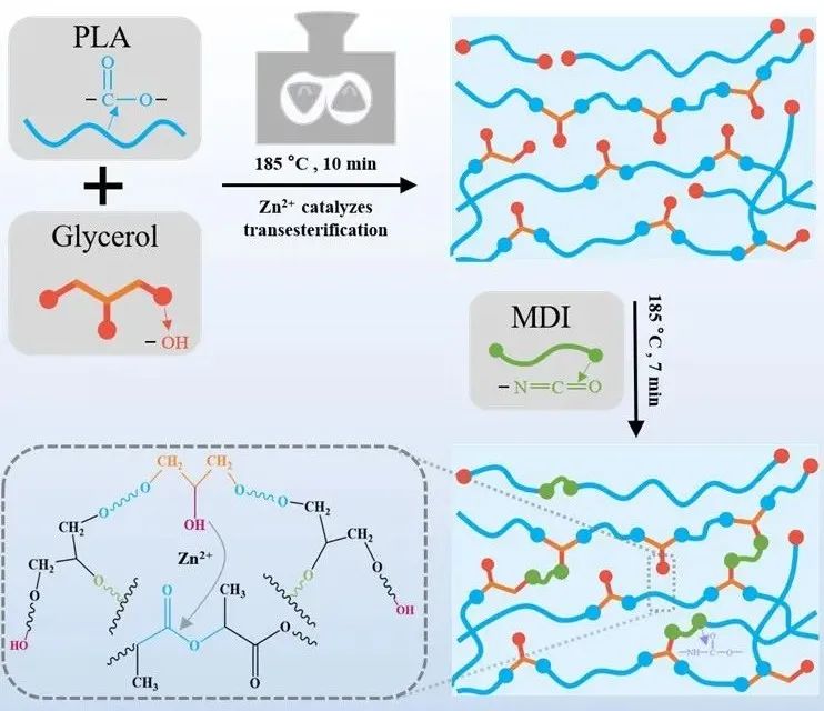 四川大學新方法改性聚乳酸，發(fā)泡倍率高達49.2！降解塑料發(fā)泡應用在何處？