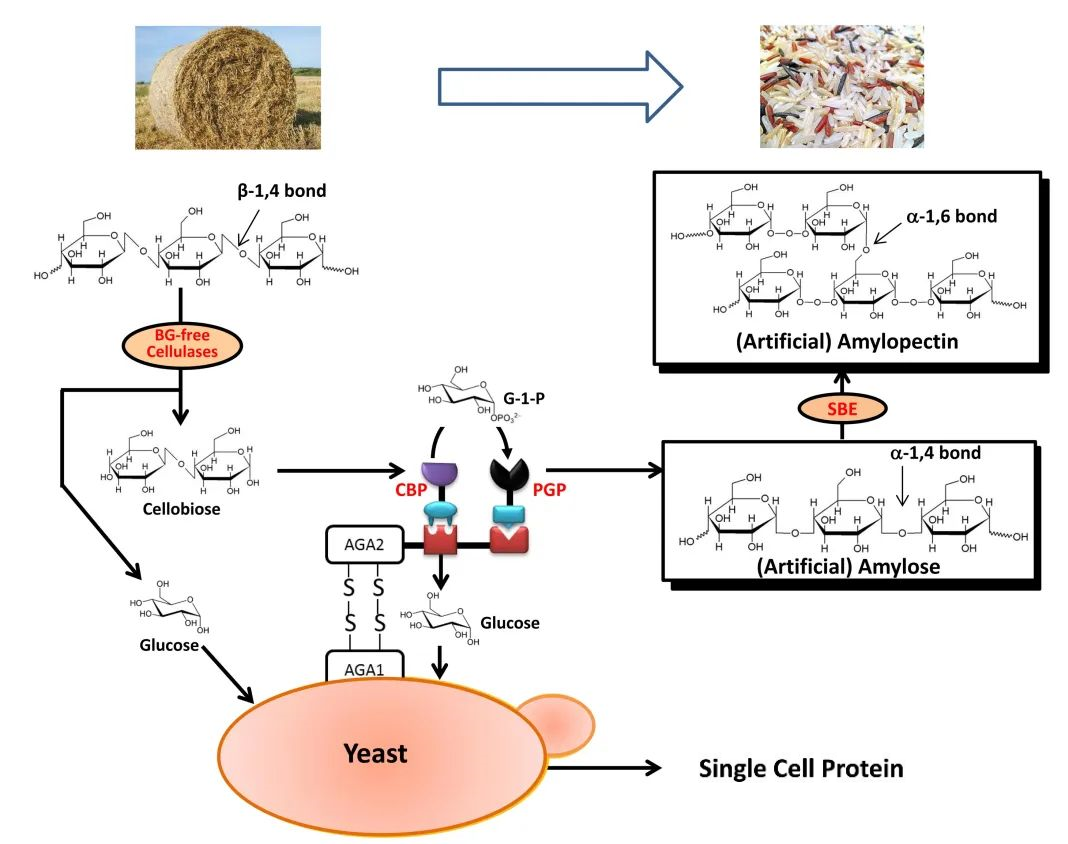 1673505234341605.png 和塑美科技