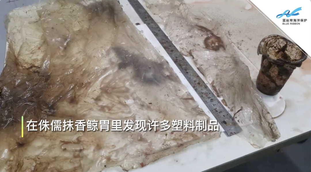 1677054984214668.png 和塑美科技