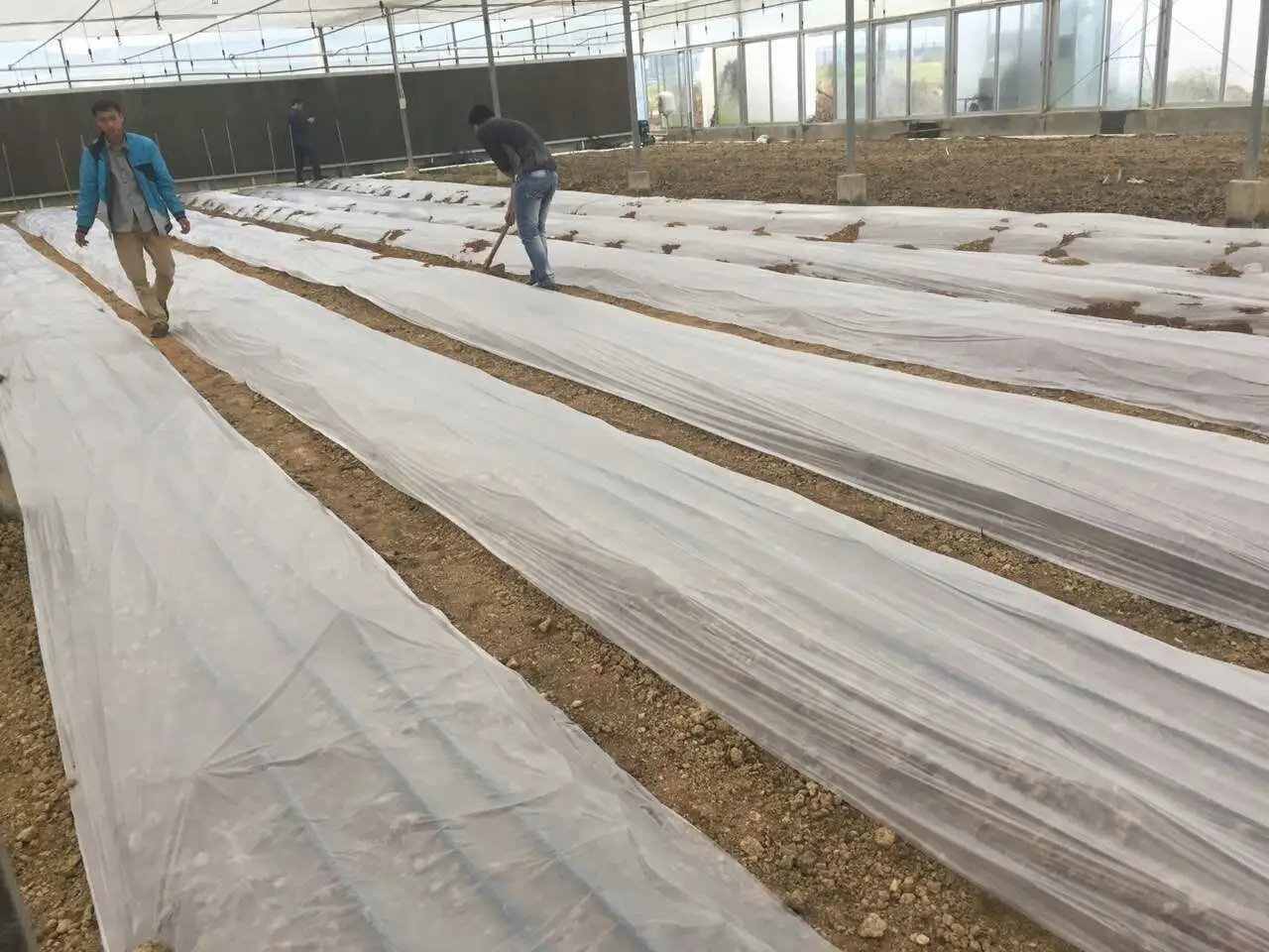 1680588683122288.jpg 和塑美科技