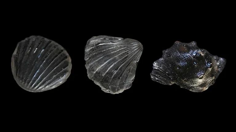 1680766259102299.jpg 和塑美科技