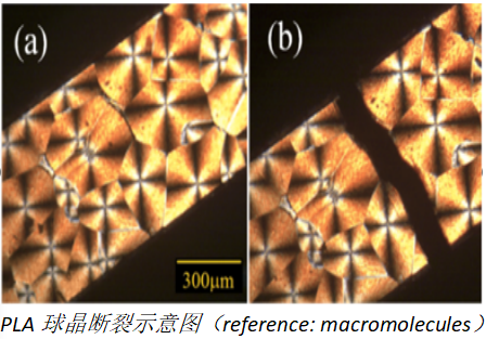 1684373794185401.png 和塑美科技