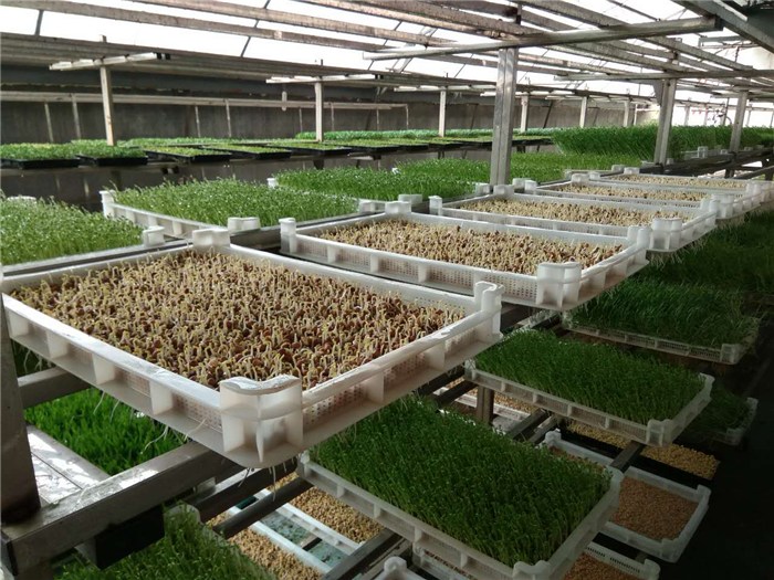 1686877808184826.jpg 和塑美科技