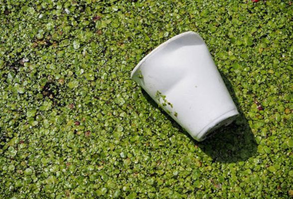 1687744537134221.jpg 和塑美科技