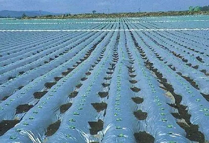 1689233077192165.jpg 和塑美科技