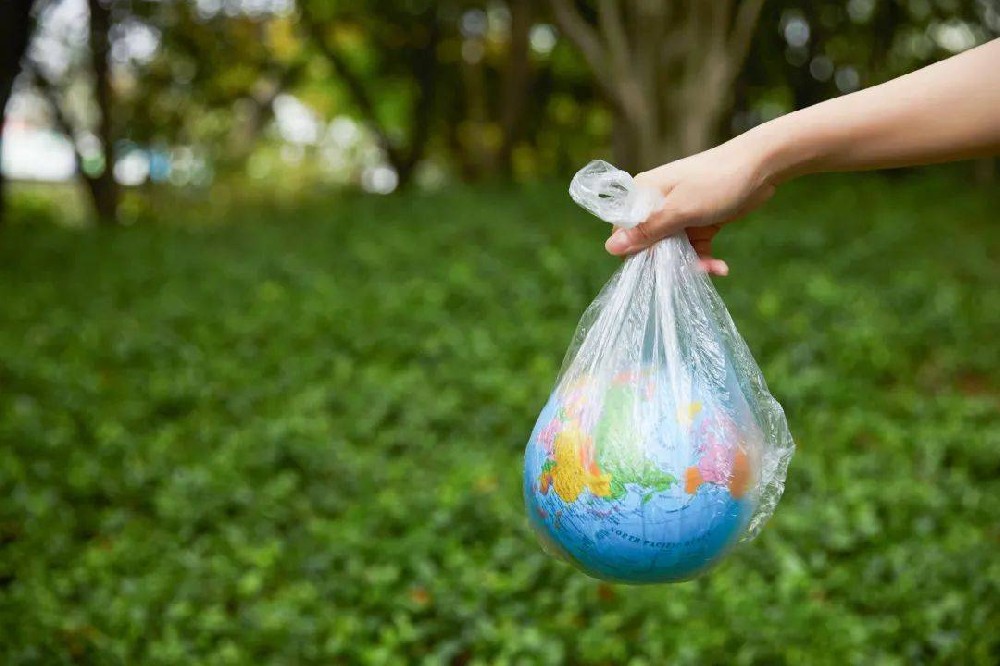 浙江：可降解塑料袋使用占比約73%，不再“非主流”